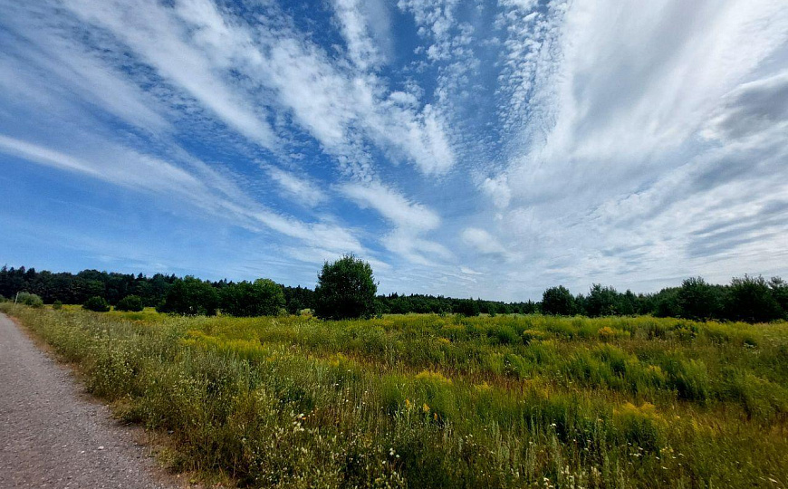 Продается Земельный участок ПРОМЫШЛЕННОГО назначения 5.5 га фото