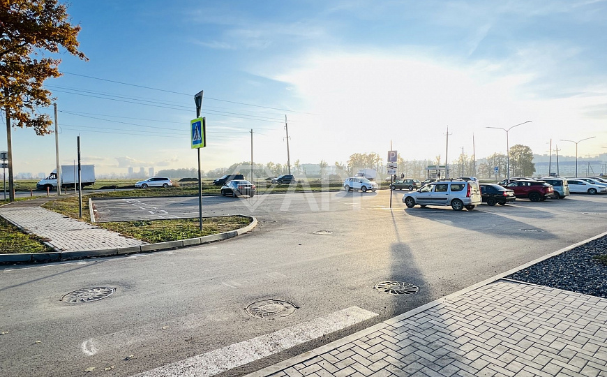 Сдаю офисное помещение, 36 м² фото