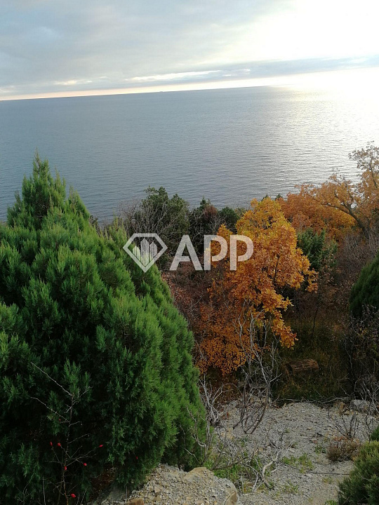 Продам земельный участок, 99,5 ар (сотка) фото