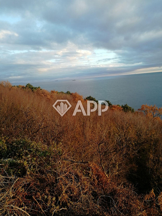 Продам земельный участок, 99,5 ар (сотка) фото