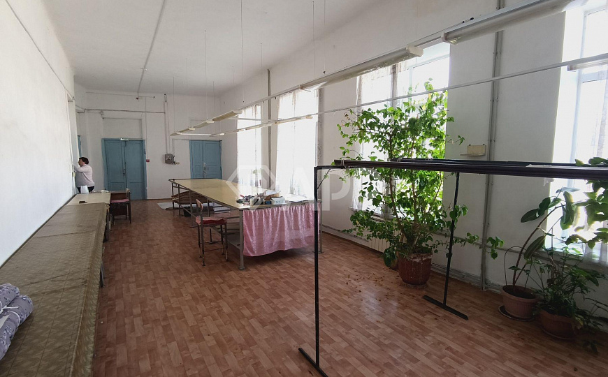 Сдаю офисное помещение, до 600 м² фото
