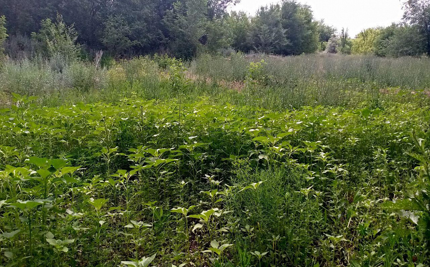 База, 1 070 м² фото