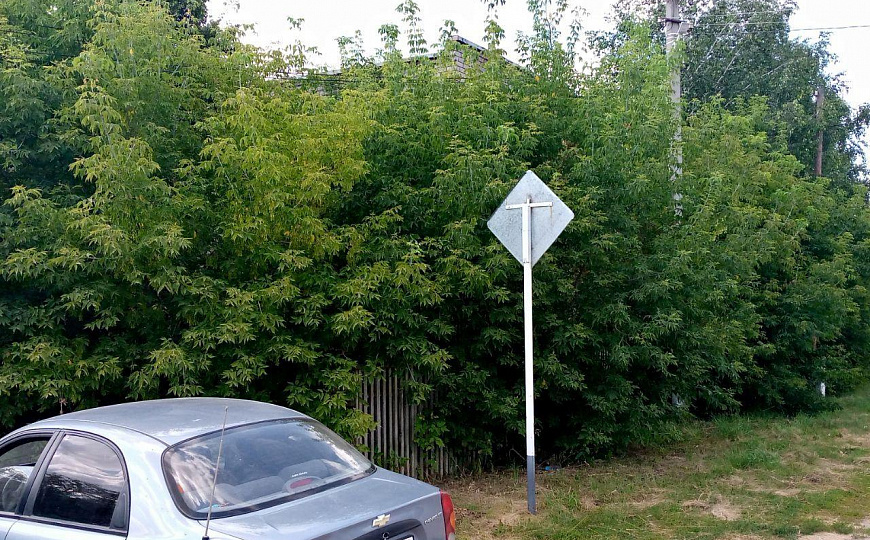 Пищевой комбинат фото