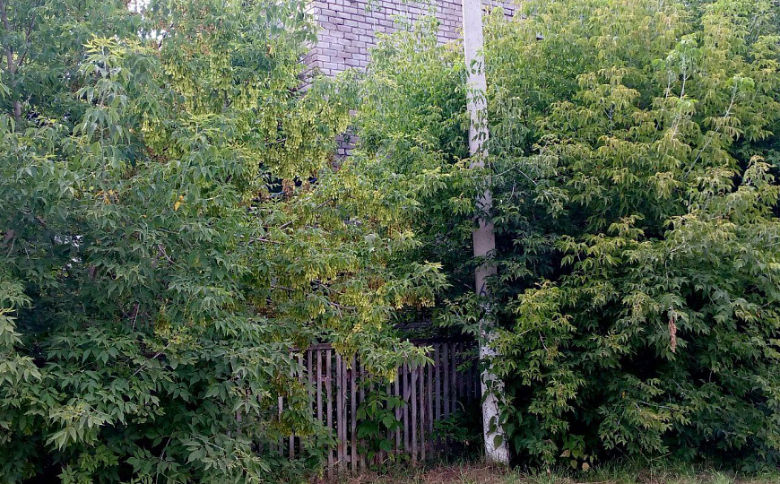 Пищевой комбинат фото