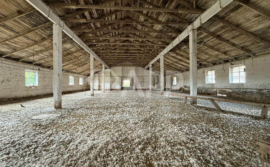 Продам помещение свободного назначения, 3 000 м², земельный участок с/х - 39 ГА фото