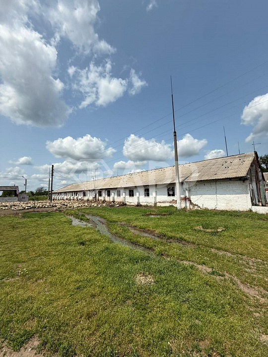 Продам помещение свободного назначения, 3 000 м², земельный участок с/х - 39 ГА фото