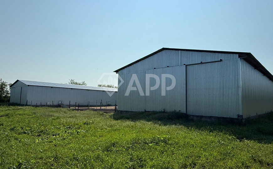 Продам помещение свободного назначения, 3 000 м², земельный участок с/х - 39 ГА фото