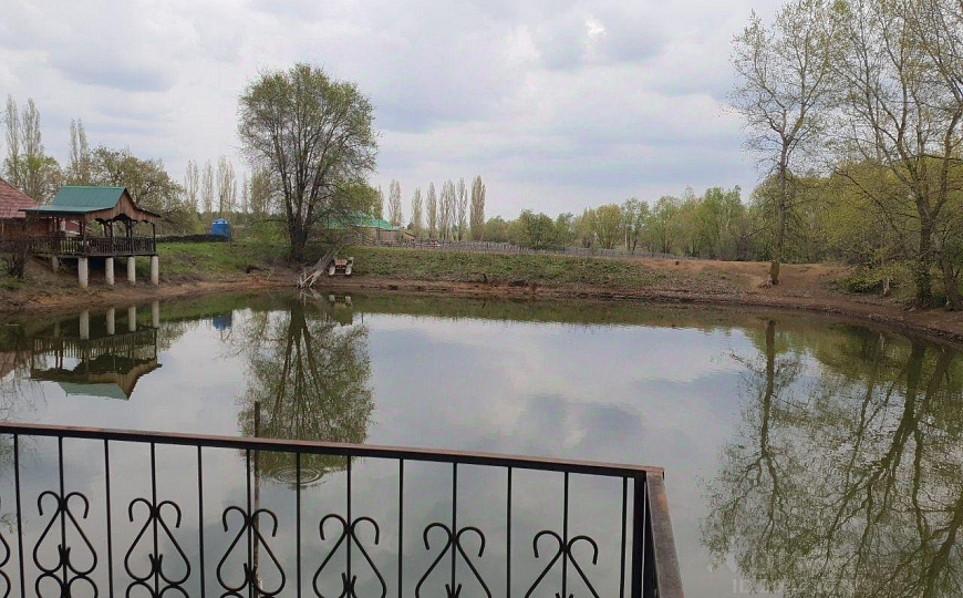 Усадьба на Волге на 3,5 Га земли фото