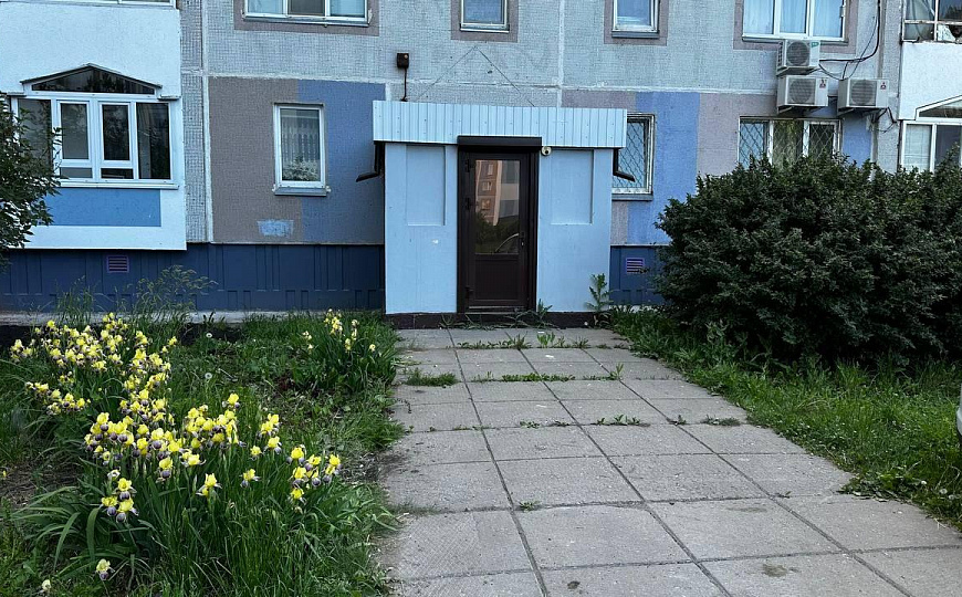 Аренда помещения 23,1 м² фото