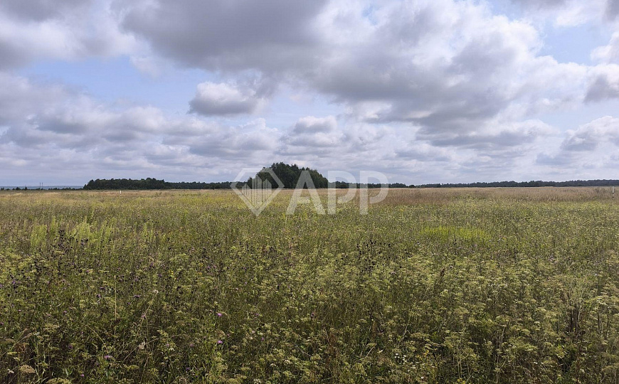 Продаю земельный участок, 30 ар (сотка) фото