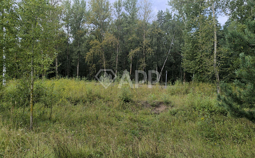 Продаю земельный участок, 30 ар (сотка) фото