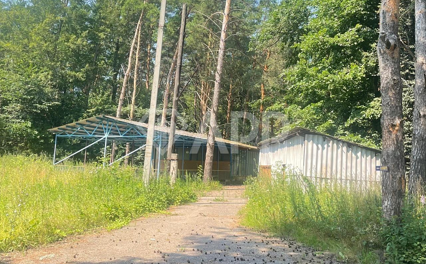Продается база отдыха в черте города фото