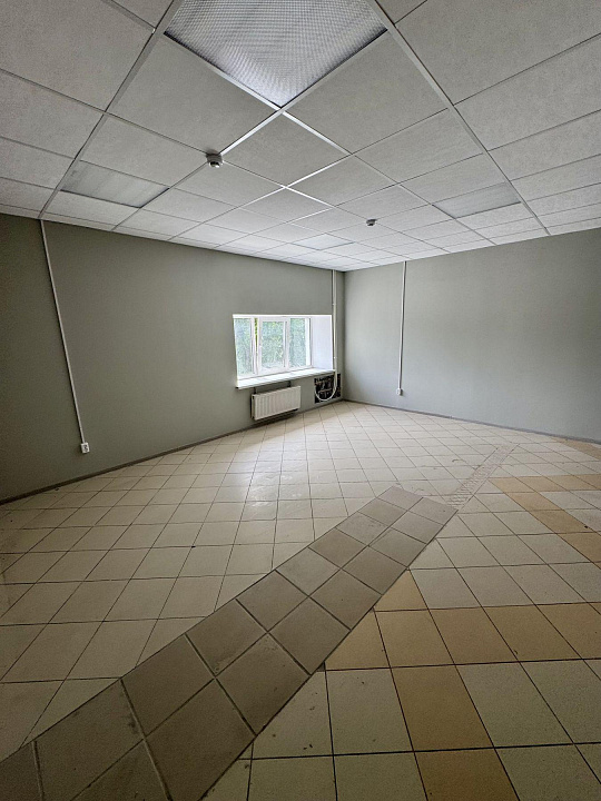 Сдам помещение свободного назначения, 20 м² фото