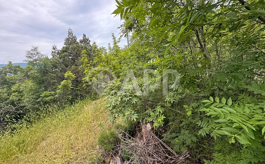 Продаю земельный участок, 25 ар (сотка) фото