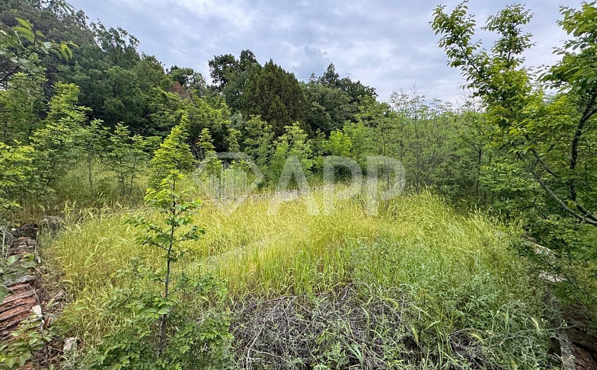 Продаю земельный участок, 25 ар (сотка) фото