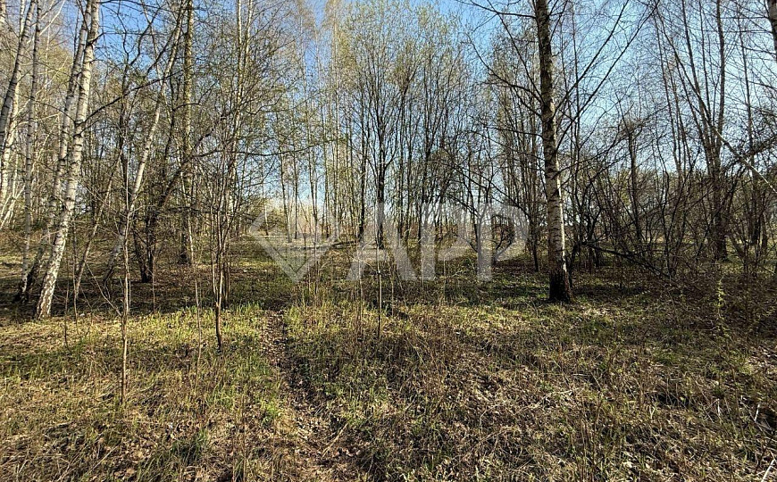 Продам участок 1,5 Га в Москве фото