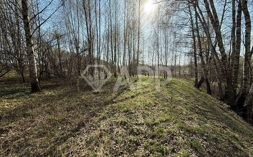 Продам участок 1,5 Га в Москве фото