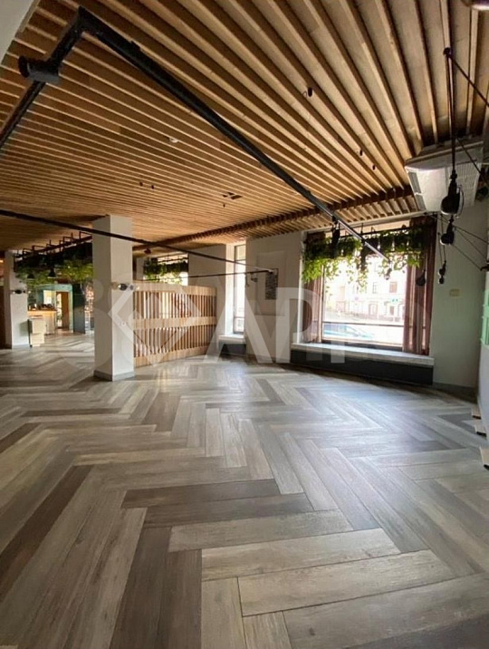 Помещение в центре на Пушкина, 227м² фото