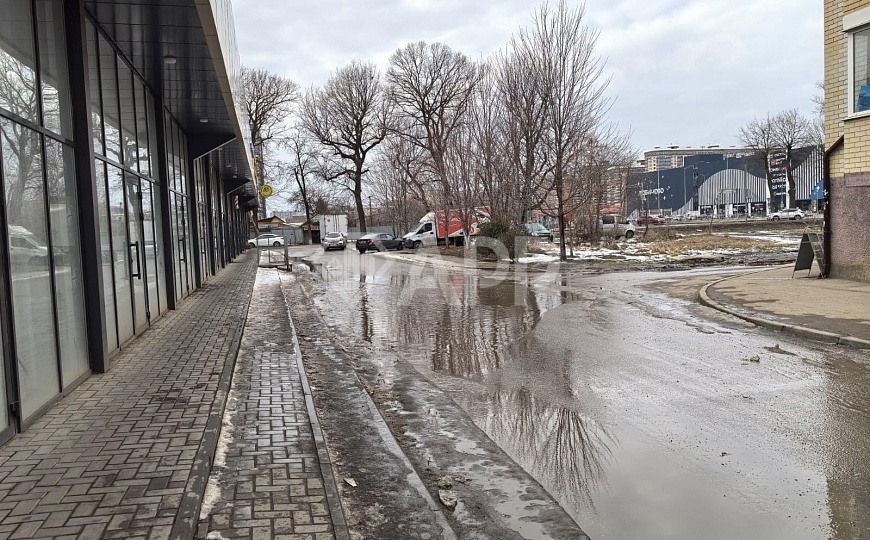 Сдаю помещение свободного назначения, 100 м² фото