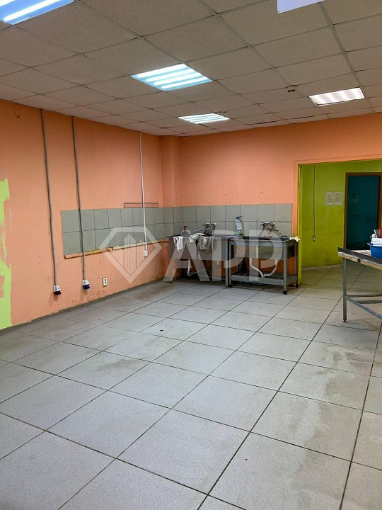 Сдам помещение свободного назначения ( красная линия ) фото