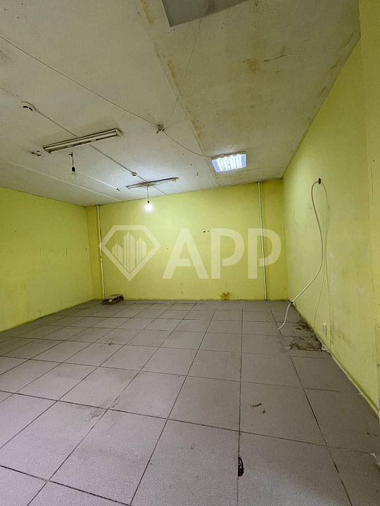 Сдам помещение свободного назначения ( красная линия ) фото