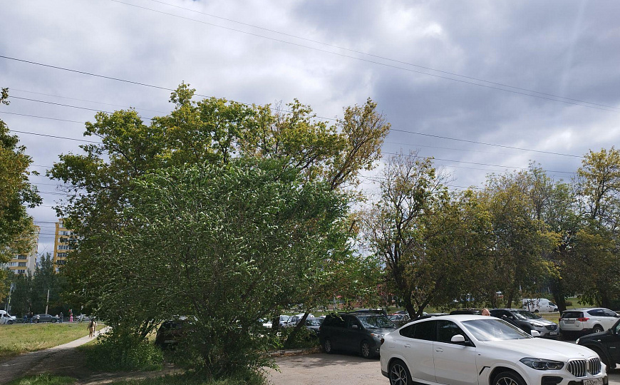 Помещение свободного назначения, 12 м² фото