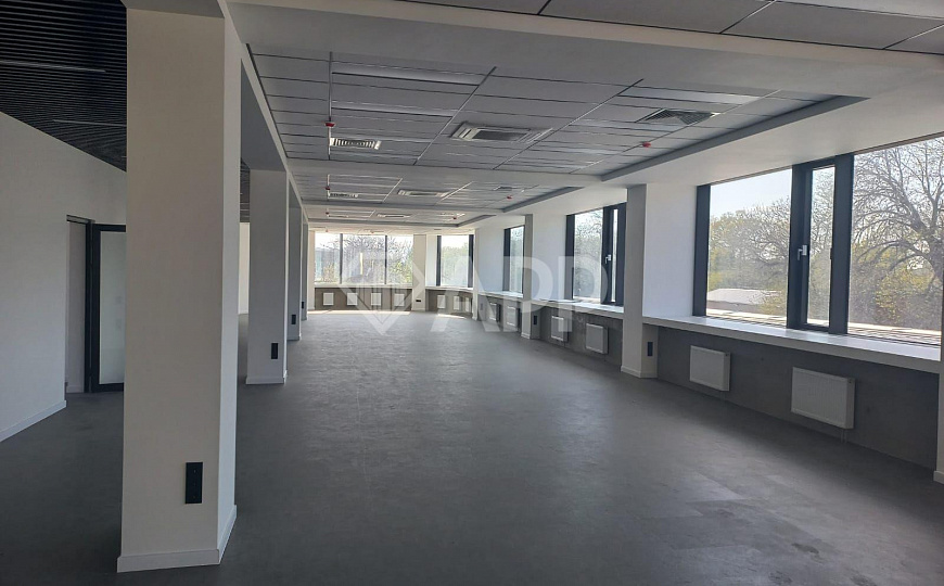 Сдаю офисные помещения, 250 м² фото