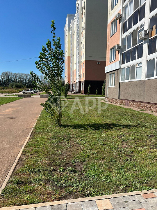 Сдам помещение свободного назначения, 30,4 м² фото