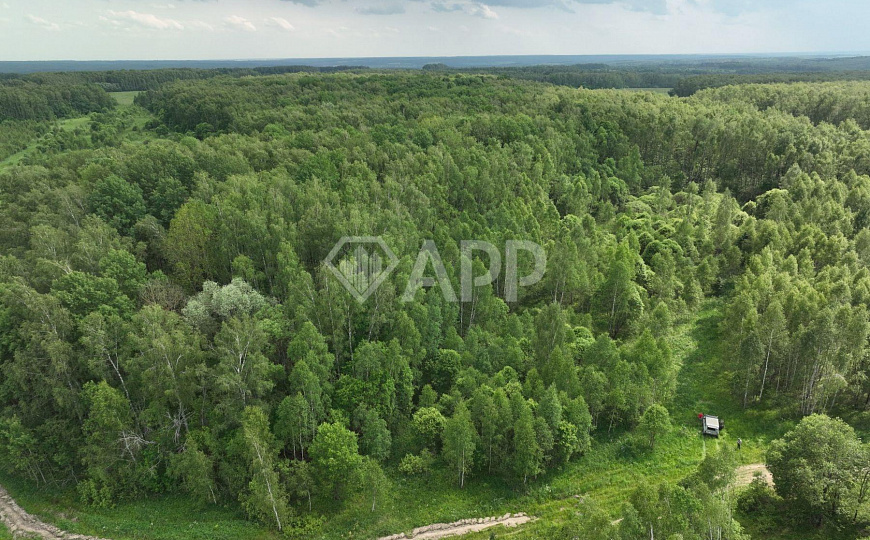 Продажа земля в Тарусе фото