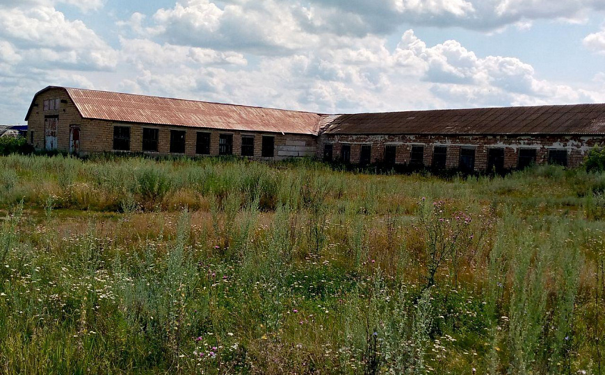 Производственно-складское отдельно стоящее здание, 1 400 м² фото