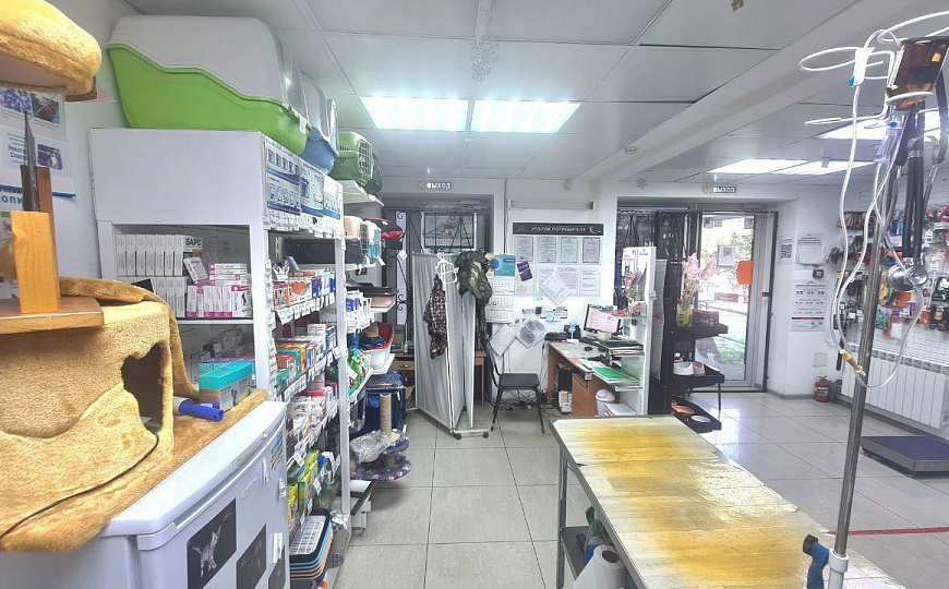 Помещение свободного назначения на 1линии фото