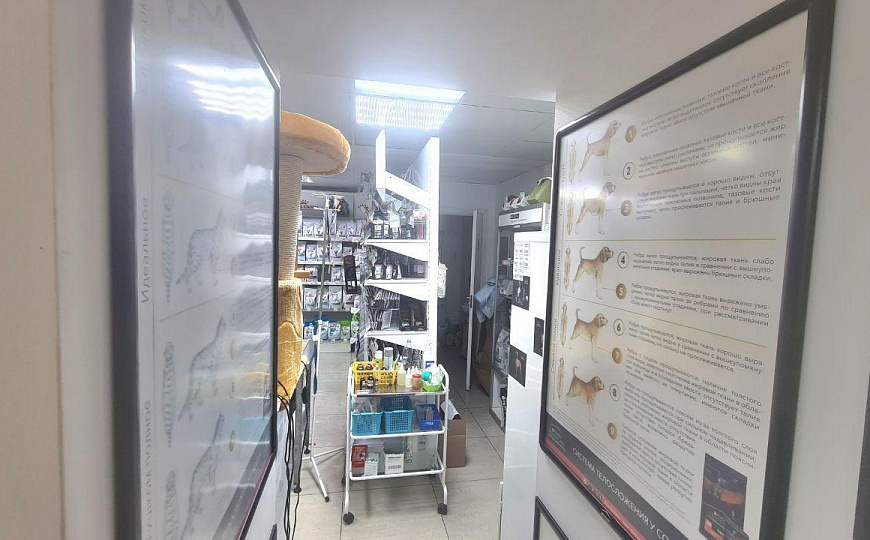 Помещение свободного назначения на 1линии фото