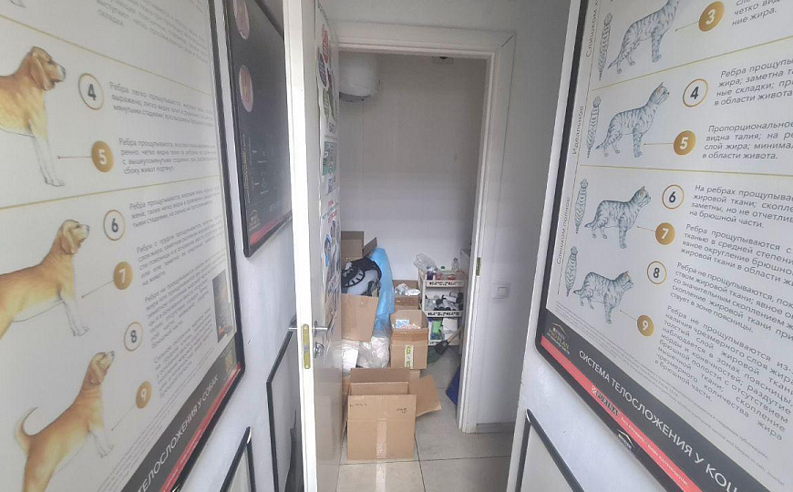 Помещение свободного назначения на 1линии фото