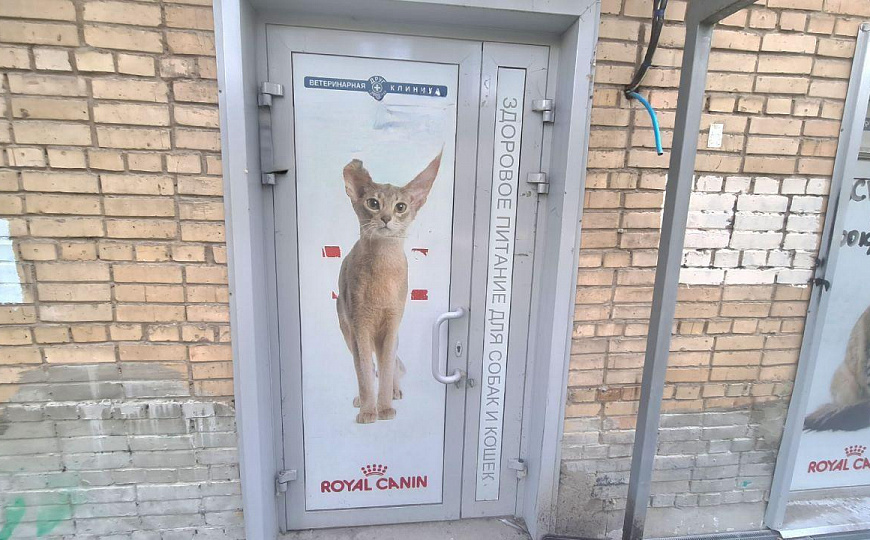 Помещение свободного назначения на 1линии фото