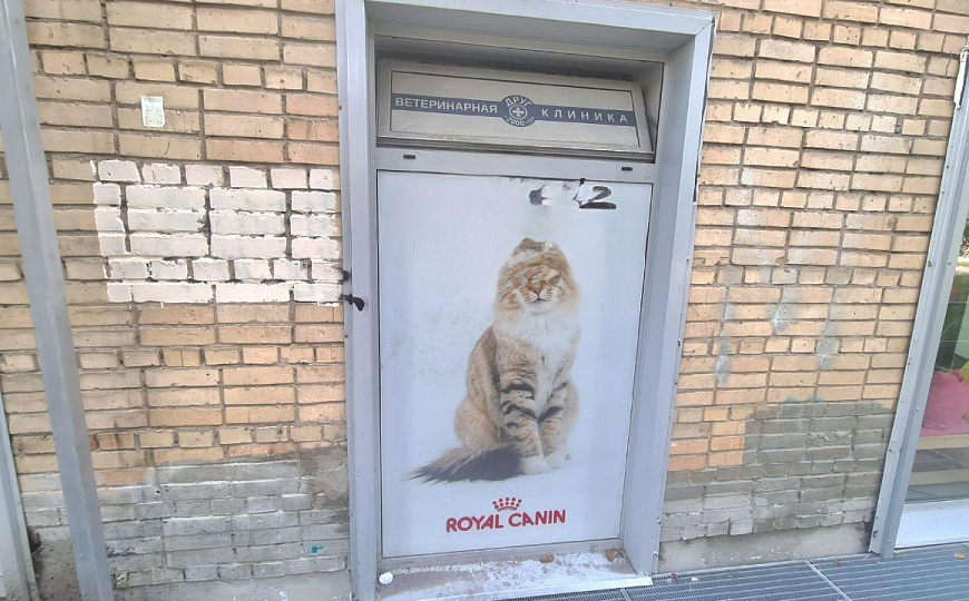 Помещение свободного назначения на 1линии фото