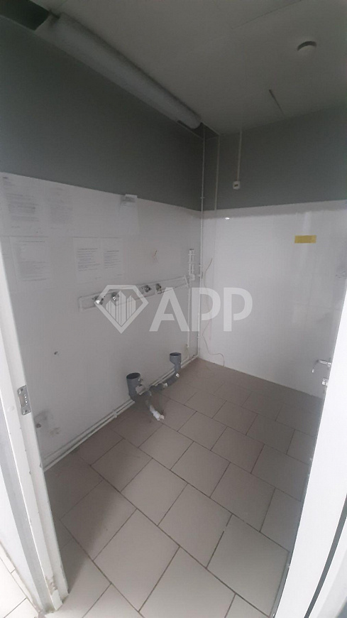 ПСН для вашего бизнеса фото