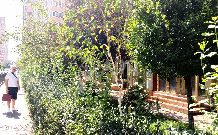 Сдаю помещение свободного назначения, 70 м² фото