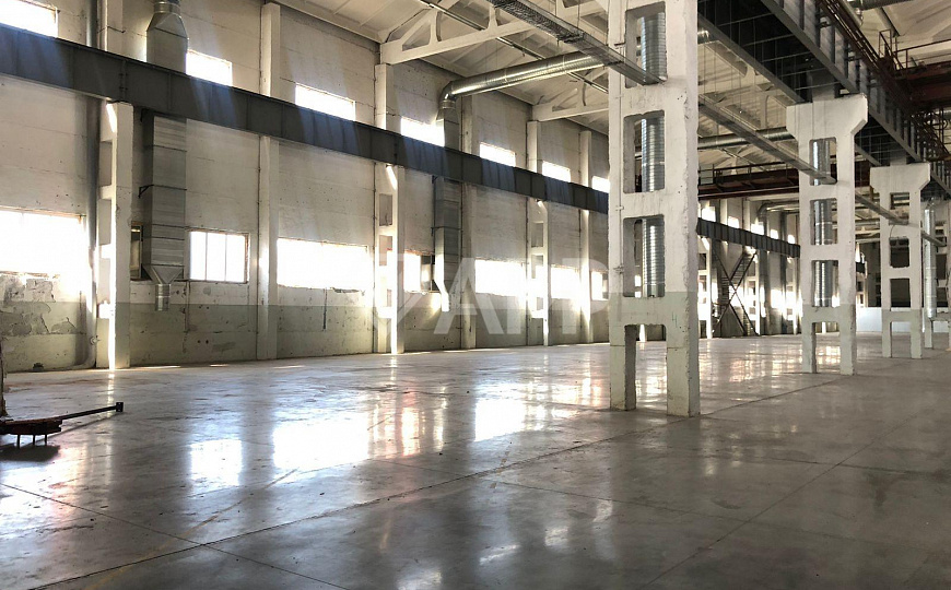 Сдам производственное помещение, 3 000 м² фото