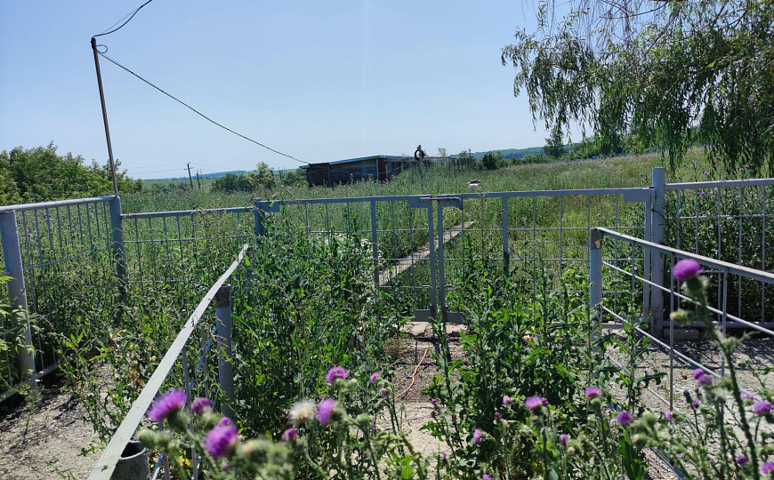 Производственное помещение, 1 500 м² фото