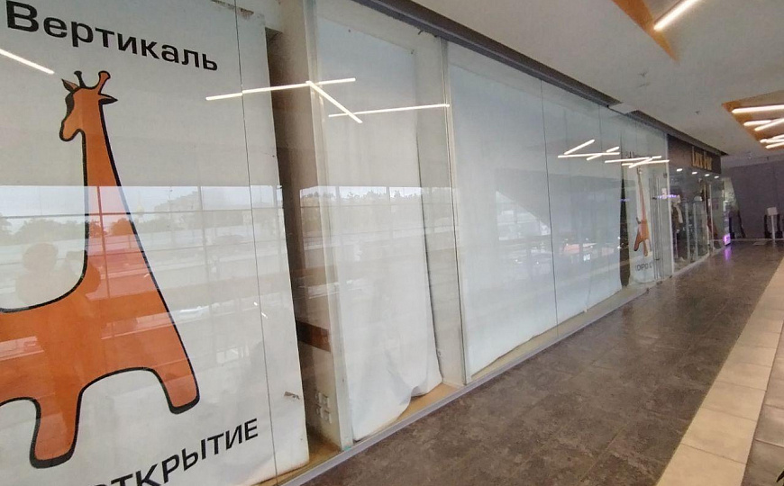 Сдам помещение в ТЦ Вертикаль фото