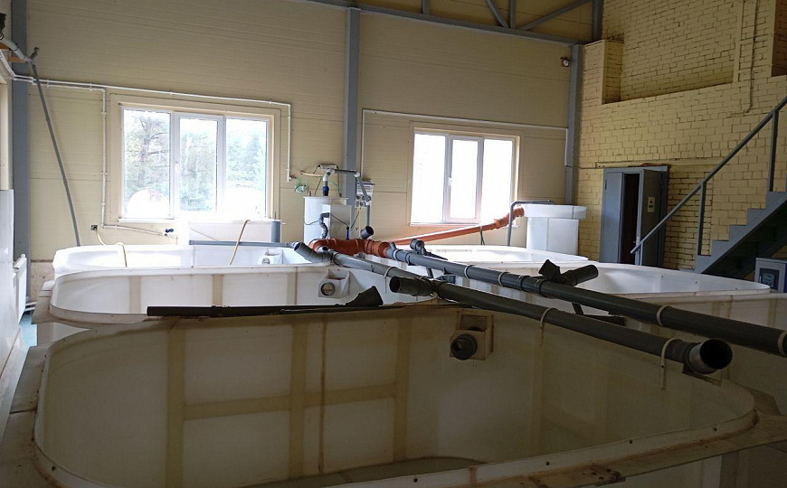 Форелевое хозяйство, 1 гектар фото