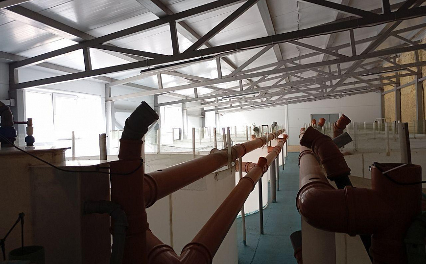 Форелевое хозяйство, 1 гектар фото