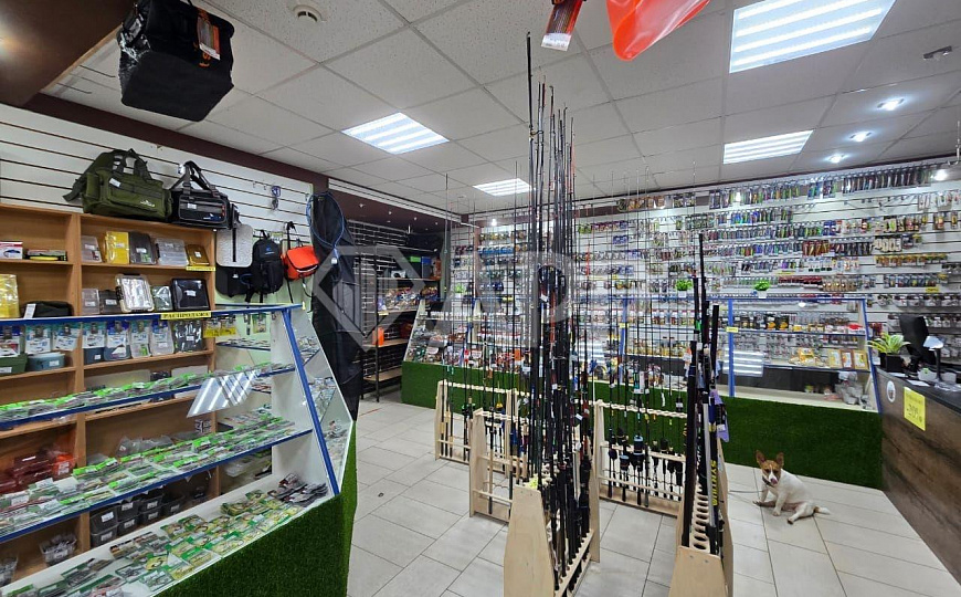 Сдам помещение свободного назначения, 77 м² фото