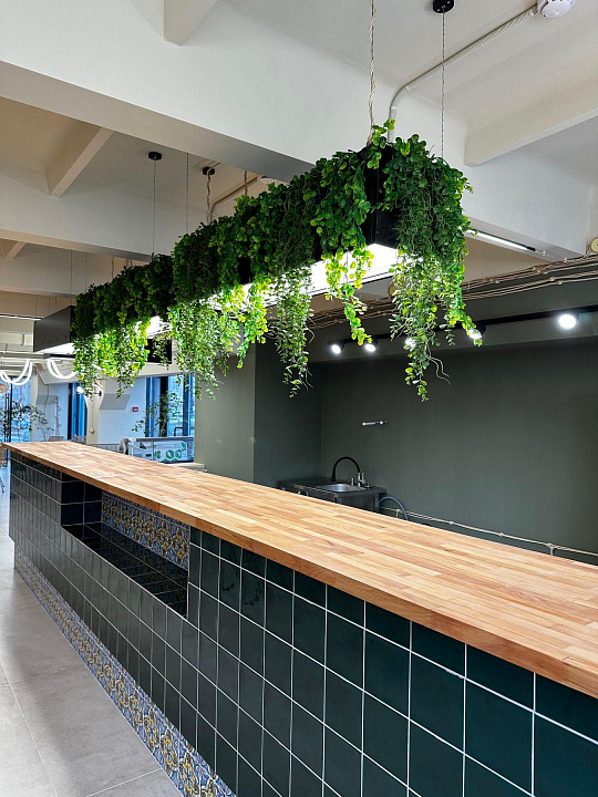 Кафе, магазин, салон в крупном бизнес-центре 104,5 м² фото