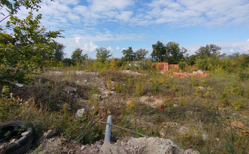 Земельный участок на берегу Волги 1,67 га фото