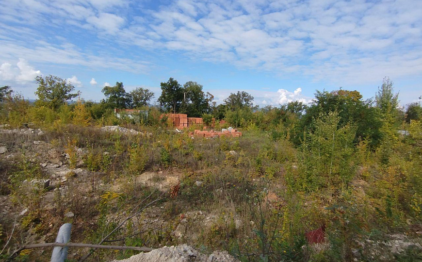 Земельный участок на берегу Волги 1,67 га фото