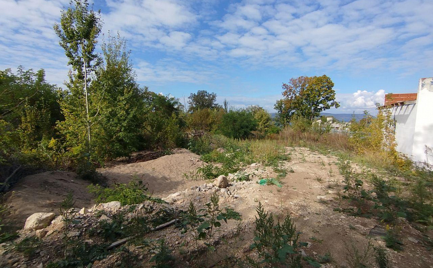 Земельный участок на берегу Волги 1,67 га фото