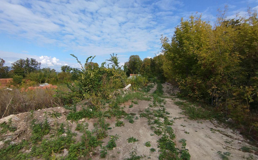 Земельный участок на берегу Волги 1,67 га фото