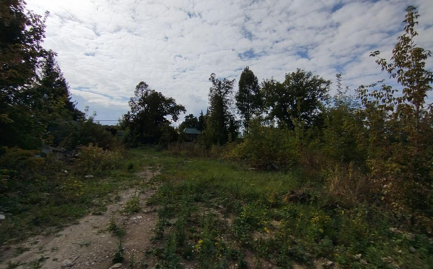 Земельный участок на берегу Волги 1,67 га фото