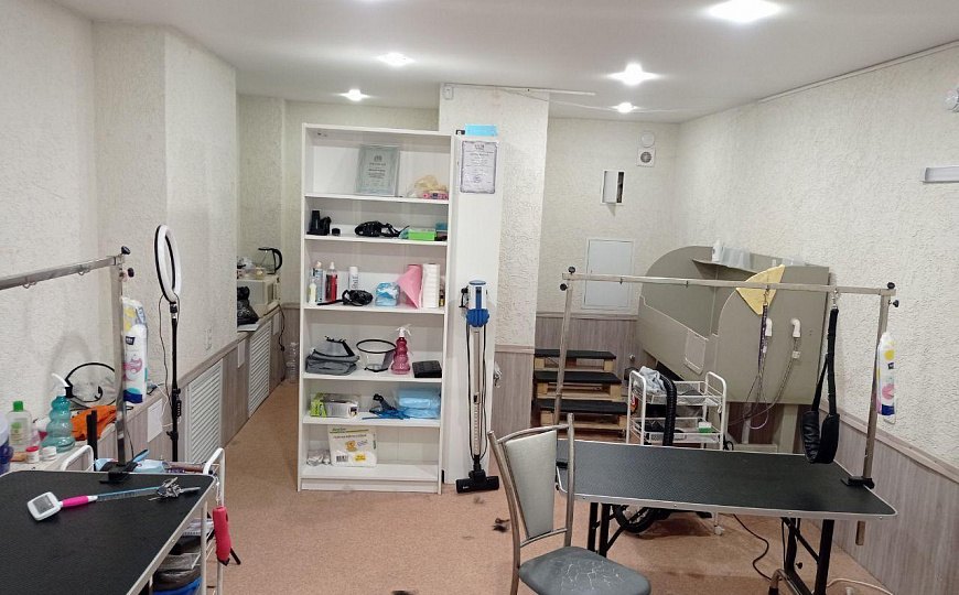 Помещение свободного назначения, 25 м² фото